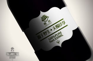 莓氏野生藍(lán)莓果汁“靈智飛揚(yáng)” 品牌設(shè)計(jì)的力量